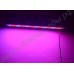 LED фито панель "Вега" 100Вт - 600Вт для культивирования растений в теплицах и гроубоксах