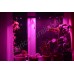 Оконная светодиодная лампа для растений "Васат" 30Вт