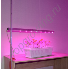 Светильник для растений с регулировкой высоты и креплением к столу "Принцепс"
