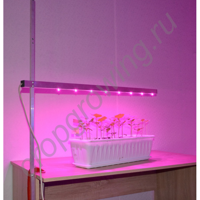 Светильник для растений с регулировкой высоты и креплением к столу "Принцепс"
