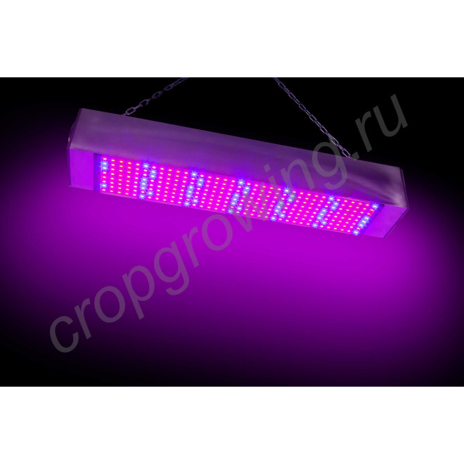 LED фито панель "Вега" 100Вт - 600Вт для культивирования растений в теплицах и гроубоксах