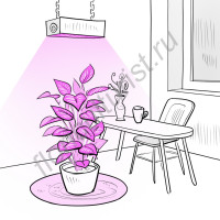 Фитосветильник светодиодный для небольших теплиц и домашних растений "Анха" 216Вт