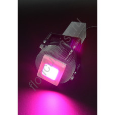 Полноспектровый 50Вт фитосветодиод на радиаторе с активным охлаждением LED grow light "Мегрец"