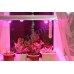 Светильник LED на кронштейнах для рассады и вегетации растений "Светлый помощник" с линзованными светодиодами общей мощностью 40Вт